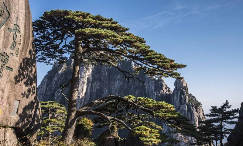 黄山上的风景