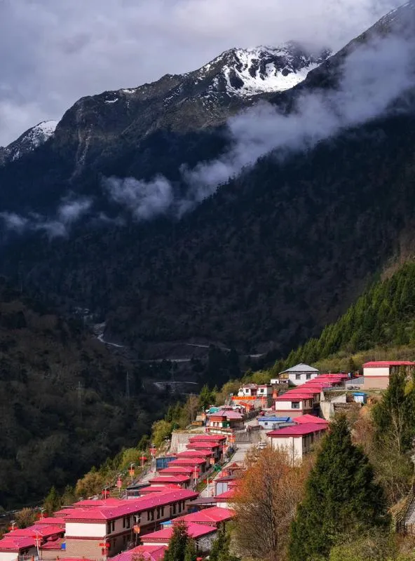 探索秋色：首次露营之旅，重庆武隆仙女山南国第一牧原邀您共赴