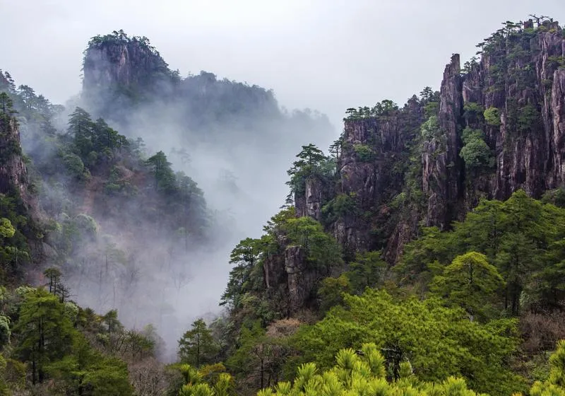 红色摇篮江西如画｜2022中国红色旅游博览会江西红色旅游总结