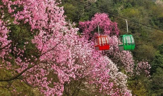 烟花三月下扬州：寻味千年古城，漫步瘦西湖畔