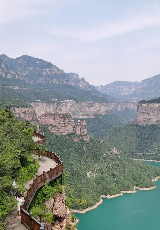 《推特》女主白月光写的五本小说，朵丽《白月光掉马之后》，轻松又甜蜜