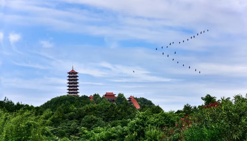 《大话西游》 4种盈利策略，最后一种非常有用