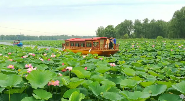 欣赏各民族风俗习惯