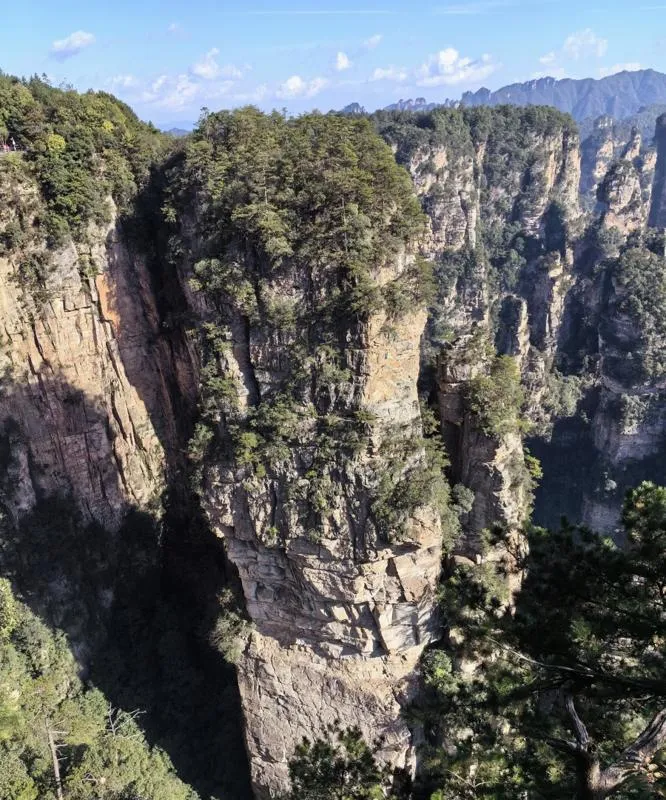 秋季四川六大自然景观旅游攻略：九月至十一月的绝美之旅