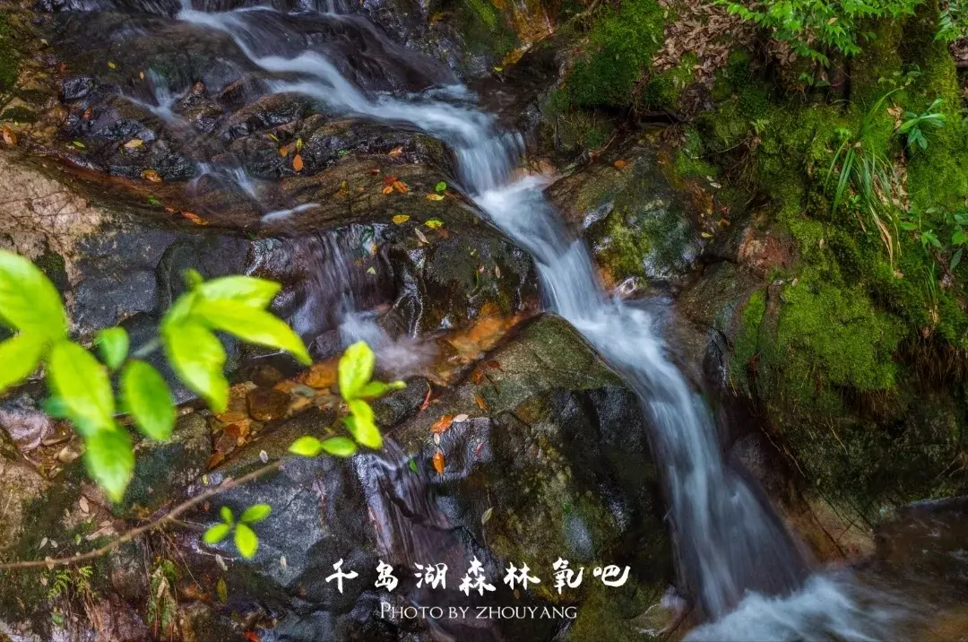 这几个景区，绝对是这大部分人理想的圣地! 别质疑，看完自己说